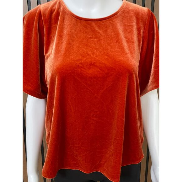 Madewell Women’s M Orange Blouse Top Velvet Tee Holiday Flowy Stretch Fall Boho - Picture 3 of 10